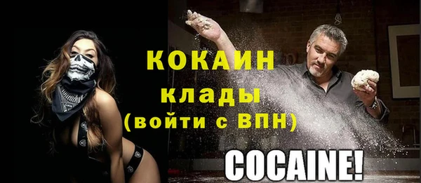 твердый Алексин