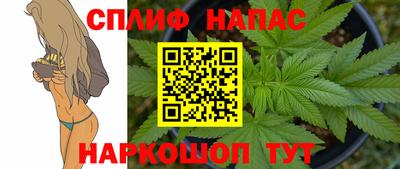 трава Северобайкальск