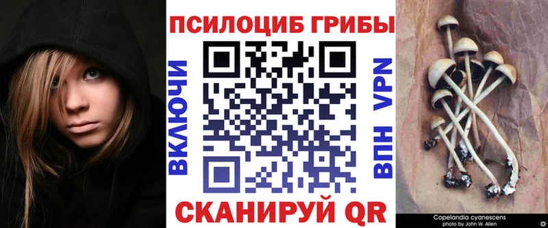 Галлюциногенные грибы Magic Shrooms  это наркотические препараты  Нурлат 