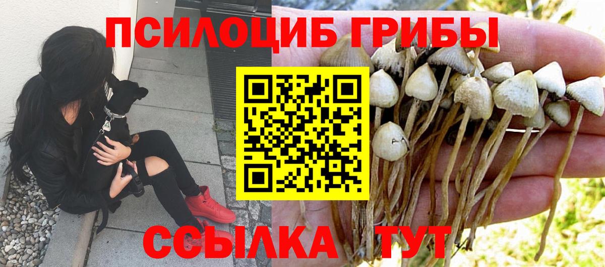 Нурлат  Галлюциногенные грибы GOLDEN TEACHER  купить наркотик  Вход с VPN  Галлюциногенные грибы прущие грибы 