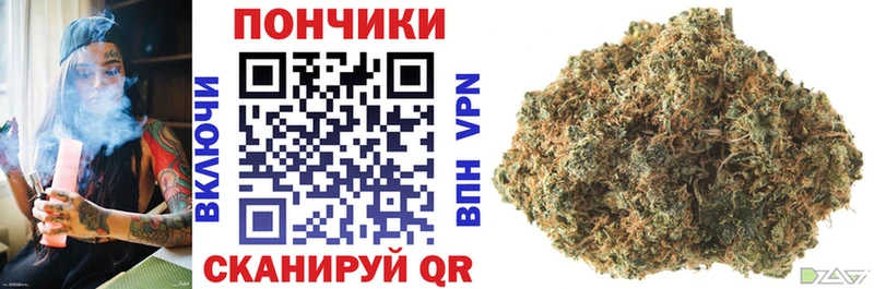 Каннабис план  Нурлат 