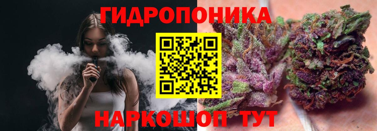 Бошки марихуана AK-47  Бошки Шишки тримм  Нурлат  МАРИХУАНА планчик  Вход с VPN 