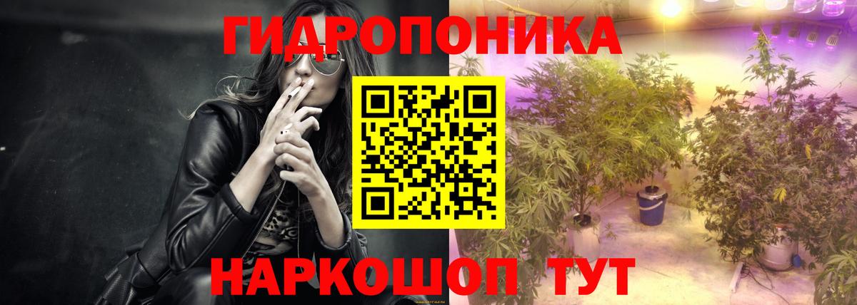 Бошки марихуана OG Kush Нурлат